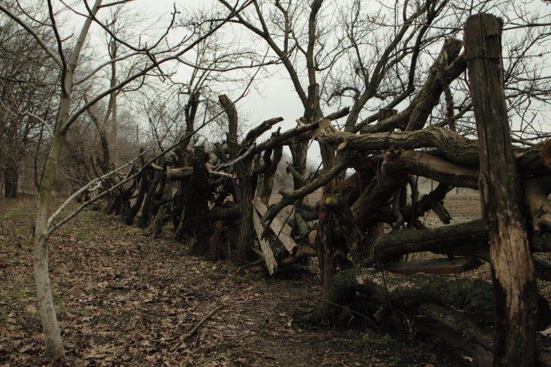 Червона Слобода з panoramio.com - Червоная Слобода