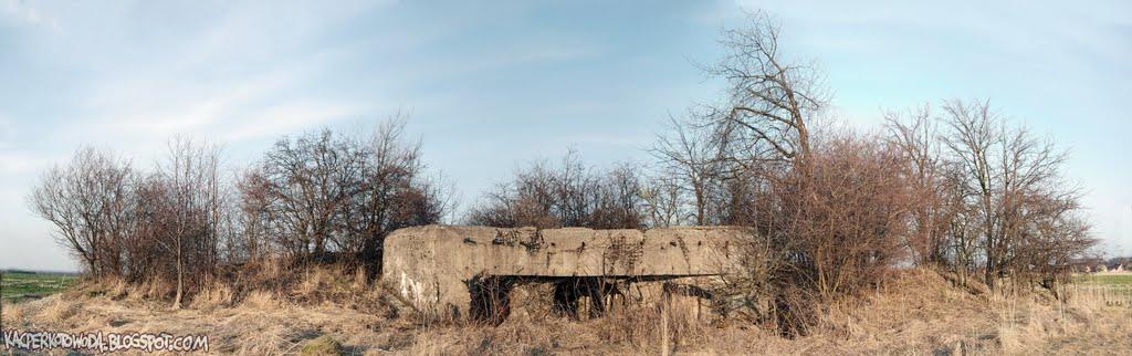 Зелена Гута з panoramio.com - Zelena Guta