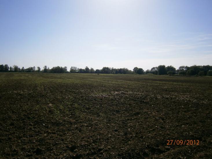 Берездівці з panoramio.com - Берездівці