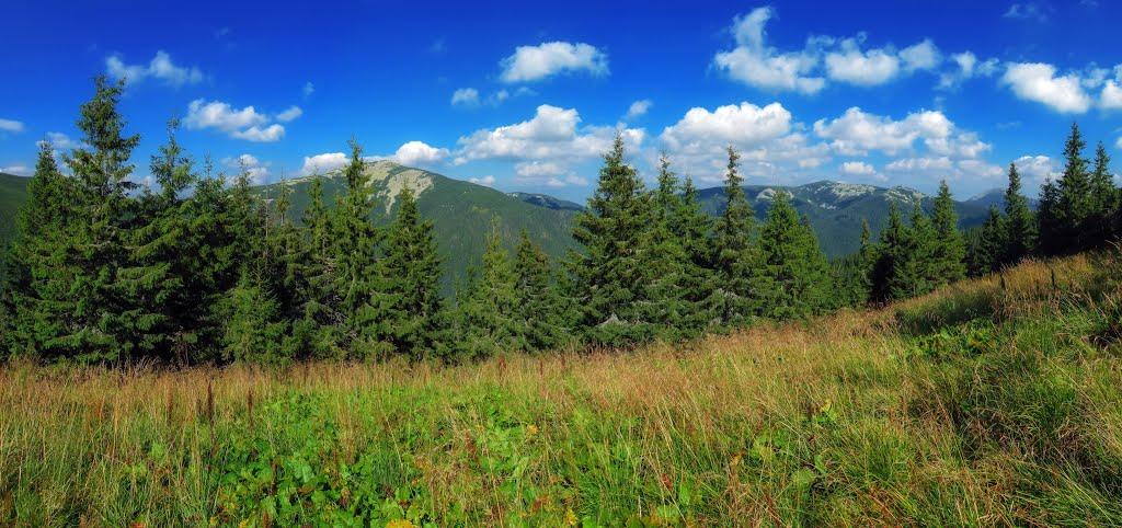 Осмолода з panoramio.com (ч.2) - Осмолода