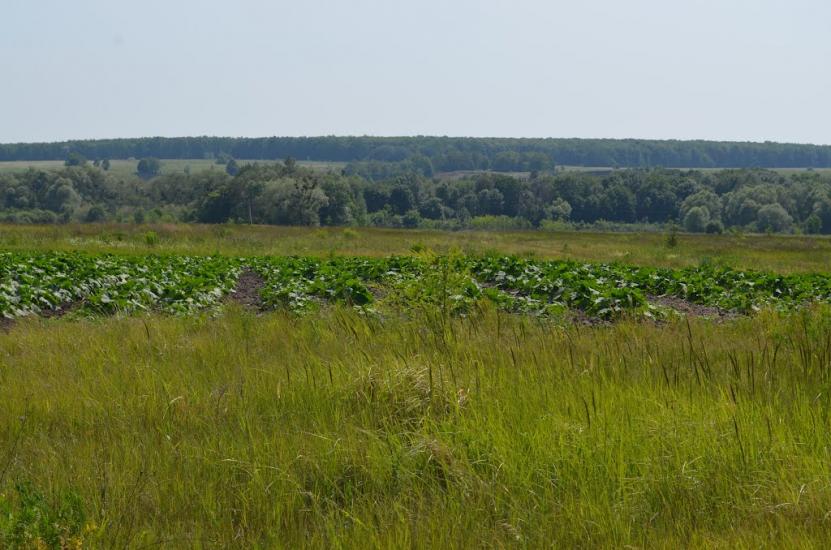 Дергачі з panoramio.com - Дергачи