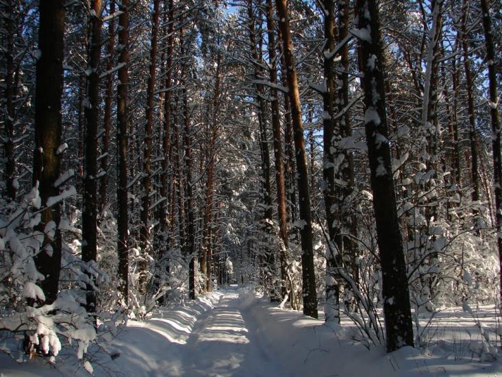Авдіївка з panoramio.com - Авдіївка