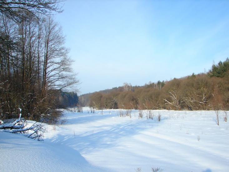 Мохначі з panoramio.com - Мохначі