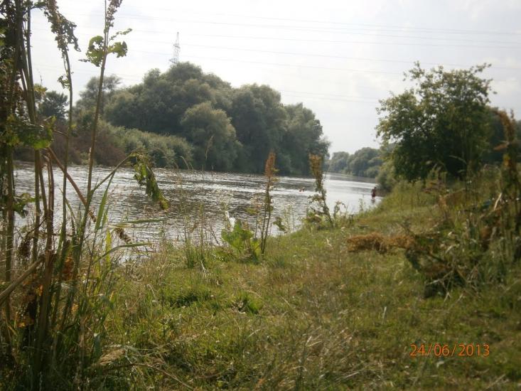 Берездівці з panoramio.com - Берездівці