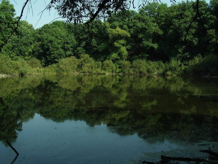 Приліпка з panoramio.com - Прилипка