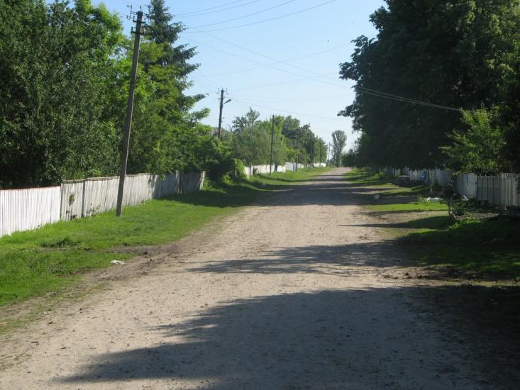 Любимівка з panoramio.com - Любимівка