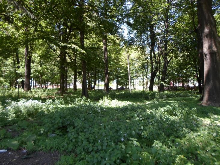 Могилівка з panoramio.com - Могилевка