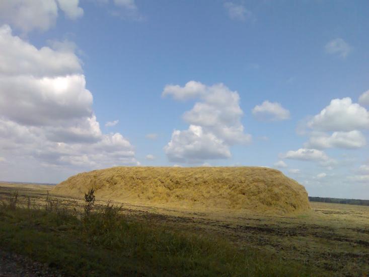 Рідкодуб з panoramio.com - Рідкодуб