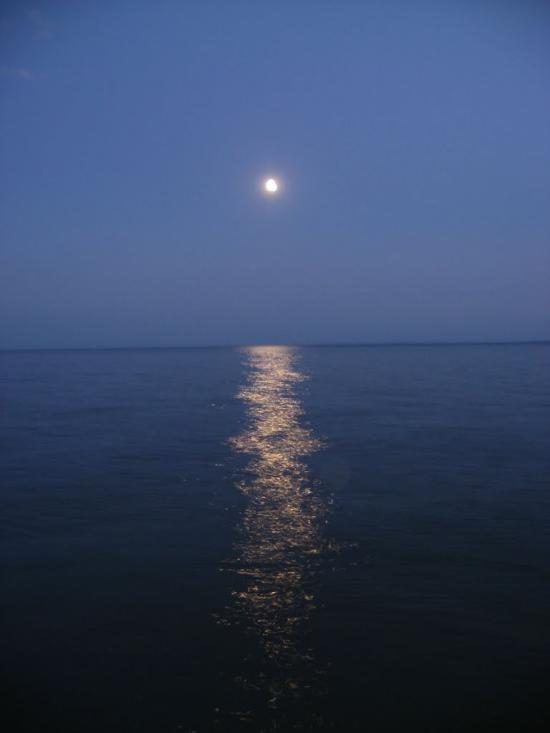 Шушвалівка з panoramio.com - Шушвалівка