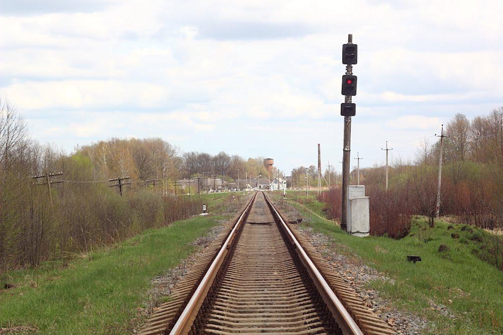 Курне з panoramio.com - Курне