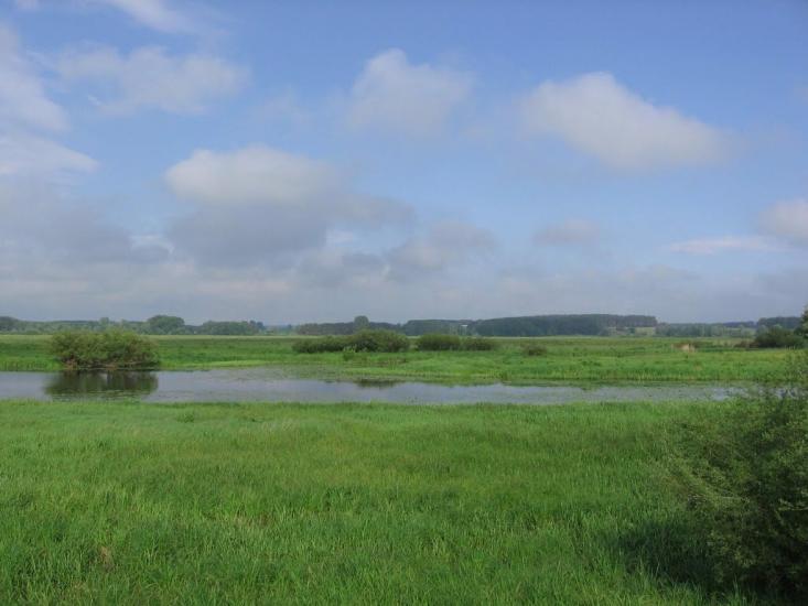 Кримок з panoramio.com - Кримок