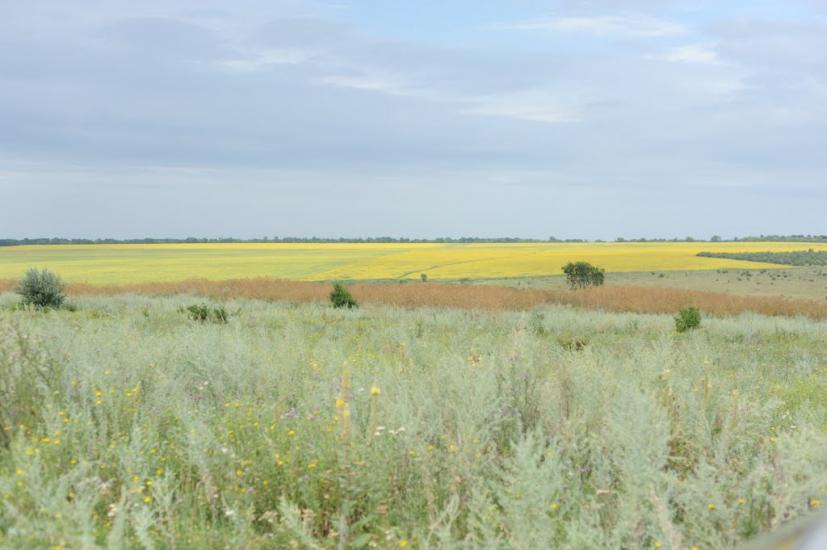 Новомлинівка з panoramio.com - Новомлинівка