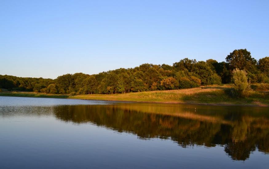 Мерефа з panoramio.com - Мерефа