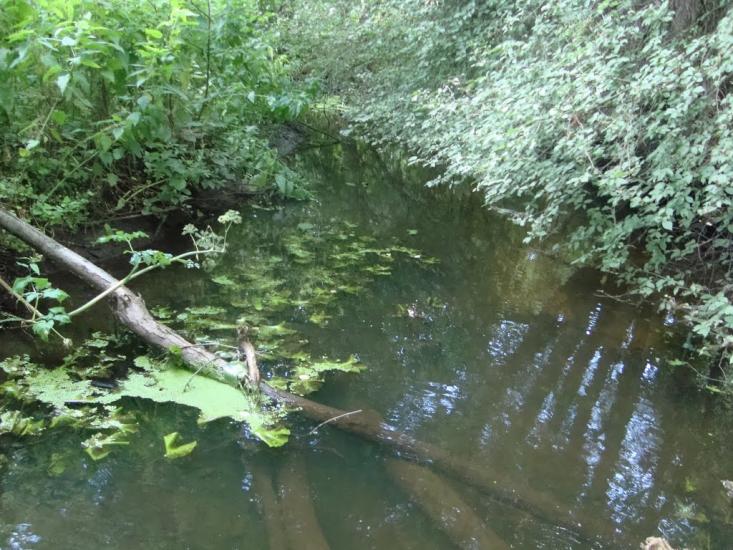 Брідок з panoramio.com - Брідок