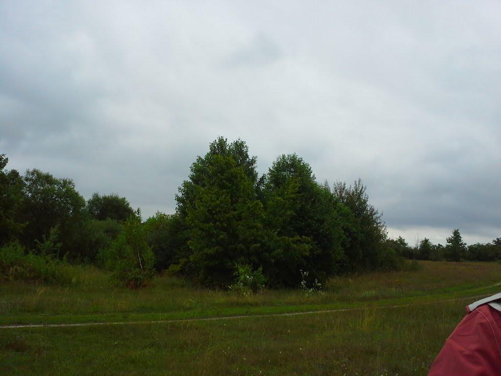 Вирка з panoramio.com - Вырка