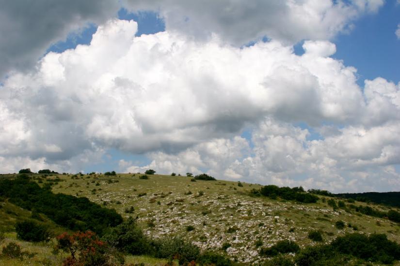 Пчолине з panoramio.com - Pcholyne