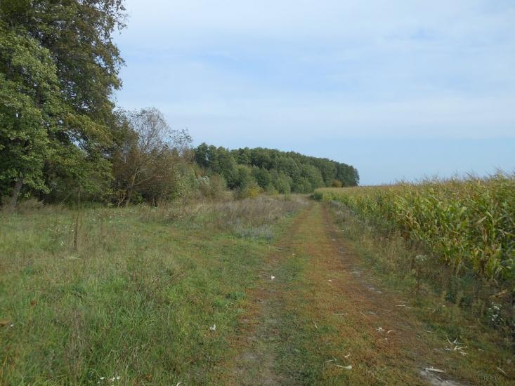 Забілівщина з panoramio.com - Забілівщина