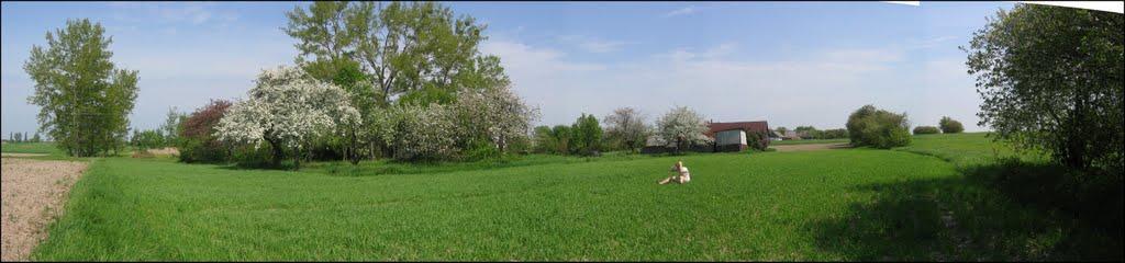 Забріддя з panoramio.com - Zabriddya