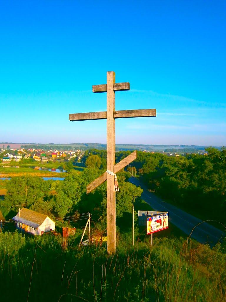 Білогородка з panoramio.com - Білогородка