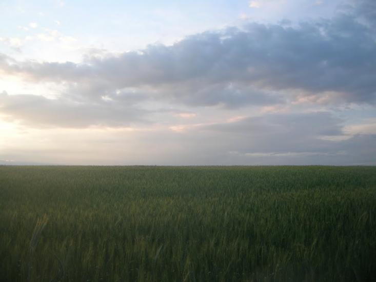 Северинівка з panoramio.com - Северинівка