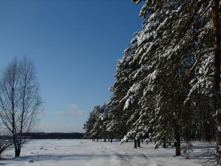 Авдіївка з panoramio.com - Авдіївка