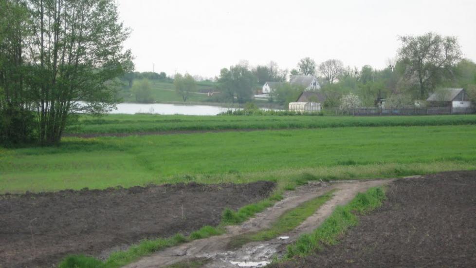 Северинівка з panoramio.com - Северинівка