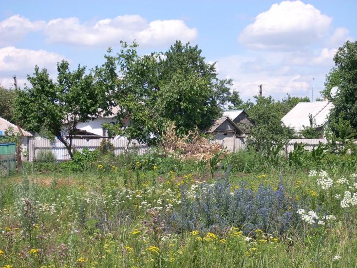 Кошари з panoramio.com - Кошары