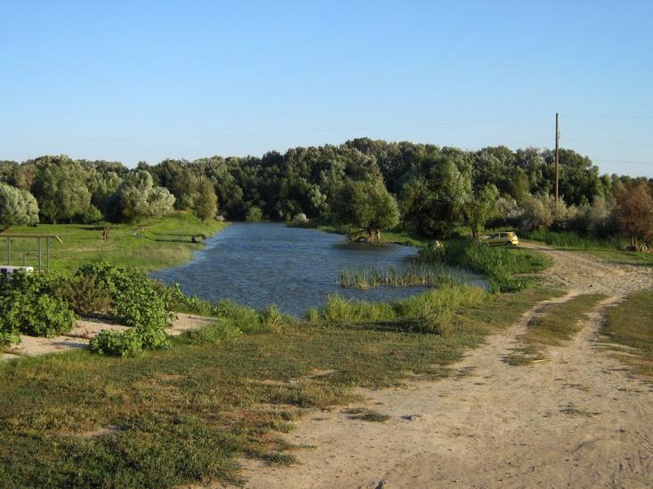 Кислиця з panoramio.com - Кислиця