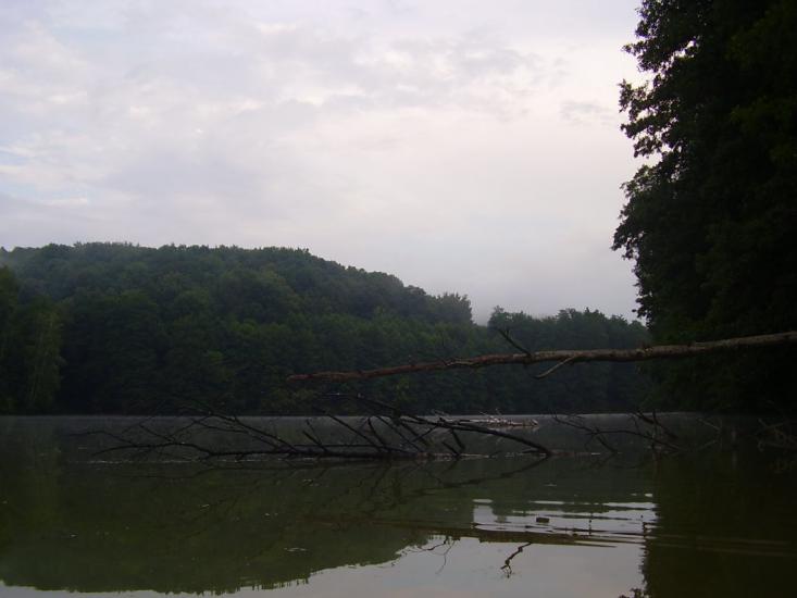 Межиріч з panoramio.com - Межирич