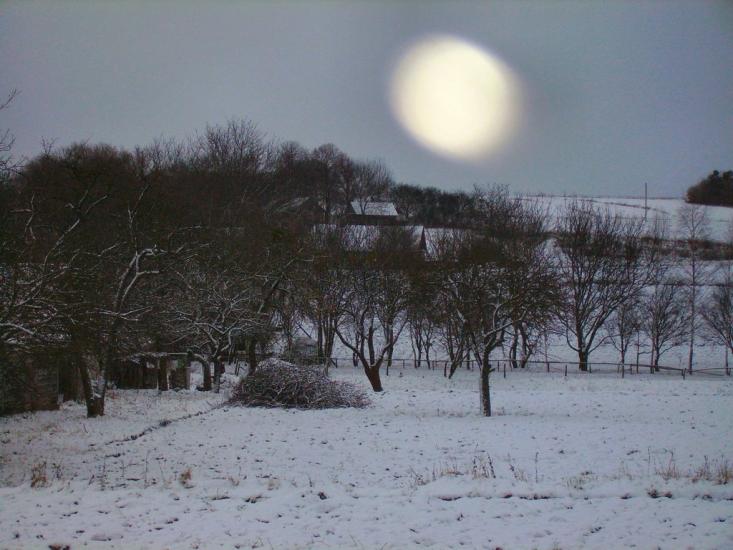 Острів з panoramio.com - Острів