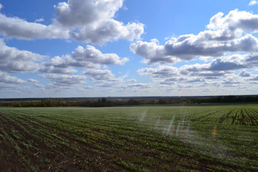 Новомлинівка з panoramio.com - Новомлинівка