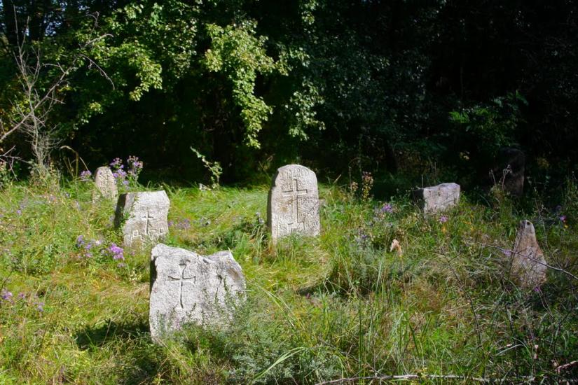 Луковиця з panoramio.com - Луковица