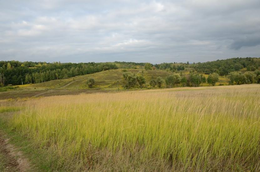 Лісники з panoramio.com - Лесники