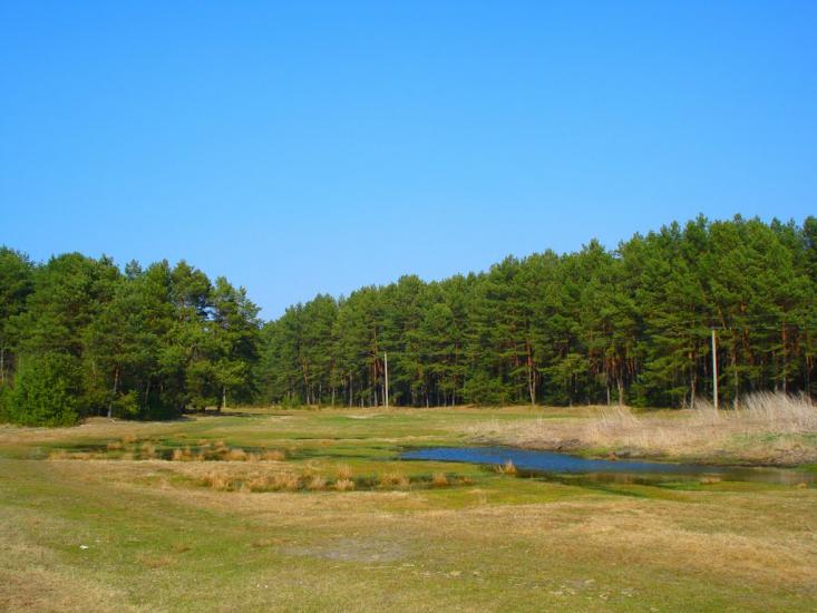 Солонів з panoramio.com - Солонів