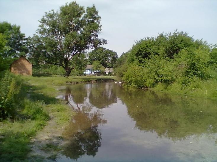 Білокриниця з panoramio.com - Білокриниця