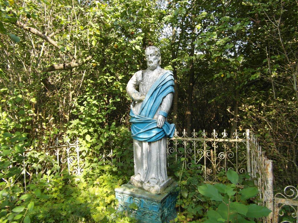 Тарноруда з panoramio.com - Tarnoruda