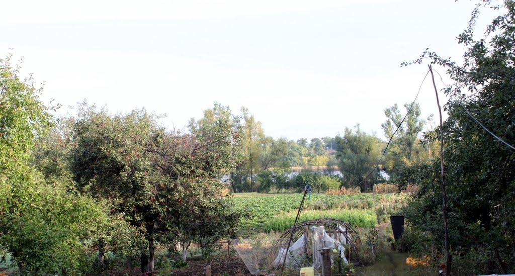 Устя з panoramio.com - Устя