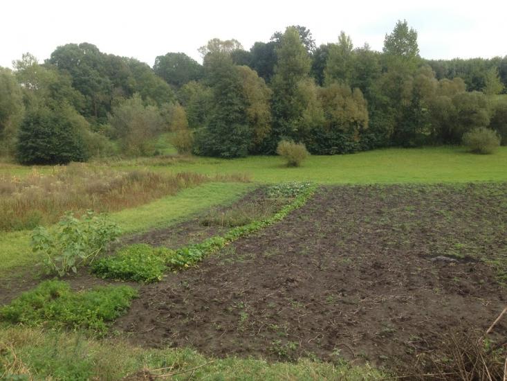 Тишевичі з panoramio.com - Тишевичі