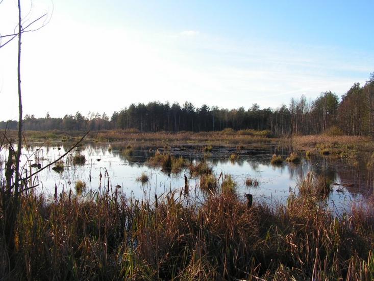 Кошари з panoramio.com - Кошари