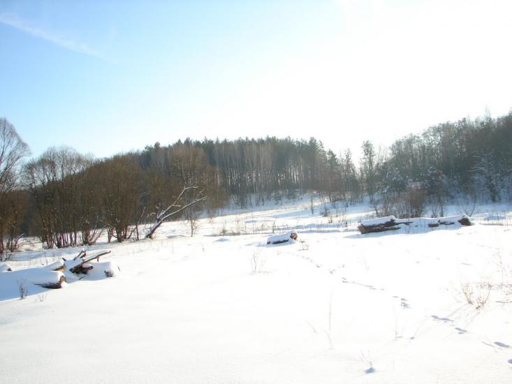 Мохначі з panoramio.com - Мохначі