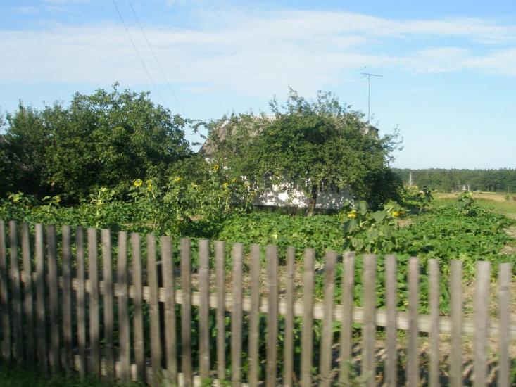 Бондарівка з panoramio.com - Бондарівка