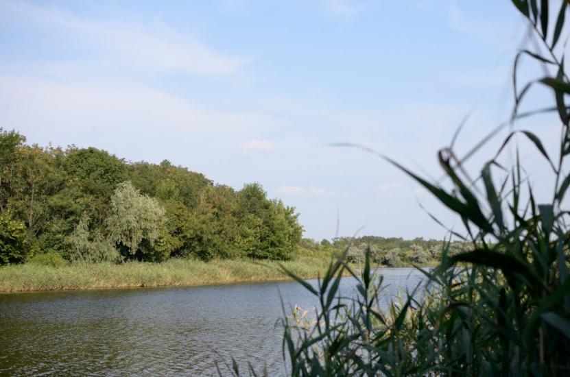 Новошевченкове з panoramio.com - Новошевченкове