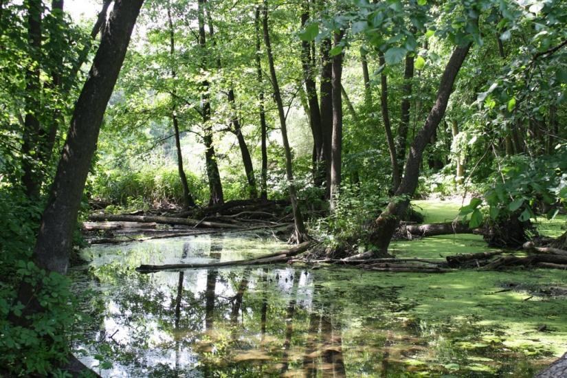 Есхар з panoramio.com - Эсхар