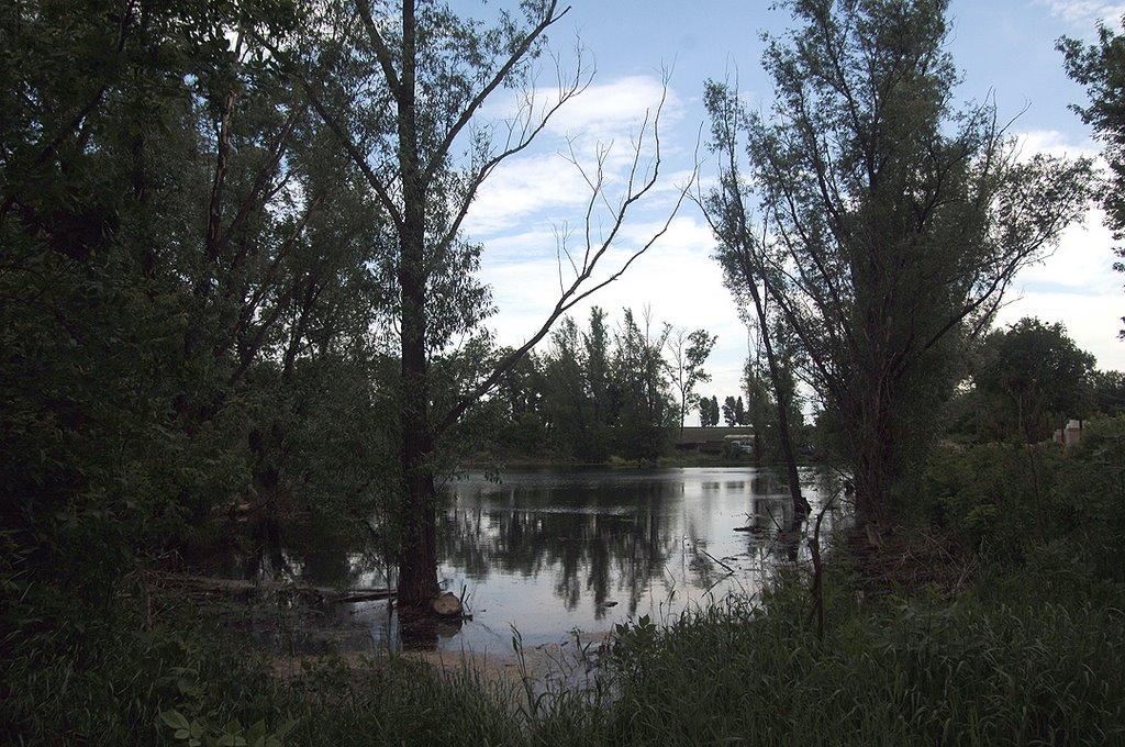 Діброва з panoramio.com - Діброва