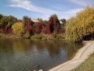 Агрономічне - Останні фото