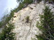 Гриньків з panoramio.com