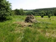 Кам'янка - Останні фото