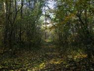 Соцзмагання з panoramio.com