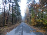 Бондарня з panoramio.com