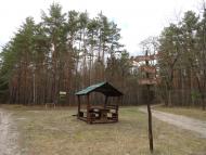 Котів з panoramio.com